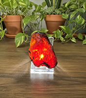 Raw Amber Specimen #2