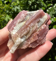 Tourmaline var Rubellite Minas Gerais, Brazil