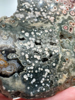 8th Vein Ocean Jasper Slab #21