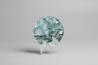 Moss Agate Polished Round Slice #4