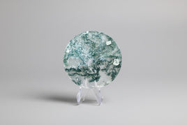 Moss Agate Polished Round Slice #4