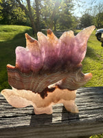 Amethyst Mixed Agate Nine-Tailed Fox Carving #5