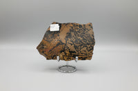 Nevada Picture Jasper Slab - Old Stock