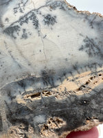 Dendritic Opal Slab