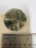 Moss Agate Polished Round Slice #6