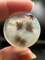 Scenic Dendritic Agate Cabochon #9