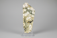 8th Vein Ocean Jasper Polished Free Form #17