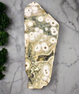 8th Vein Ocean Jasper Polished Free Form #17