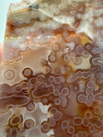 8th Vein Ocean Jasper Slab #66