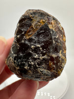 Madagascar Raw Amber Specimen #11