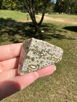 Ocean Jasper Free-form #18
