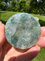 Moss Agate Polished Round Slice #6