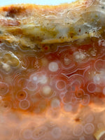 8th Vein Ocean Jasper Slab #66