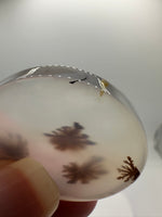 Scenic Dendritic Agate Cabochon #9
