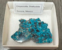 Chrysocolla, Shattuckite, Sonora, Mexico