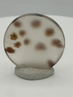 Scenic Dendritic Agate Cabochon #8