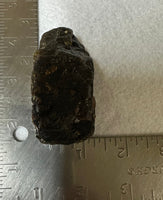 Raw Amber Specimen #2