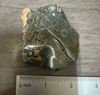 8th Vein Ocean Jasper Slab #32