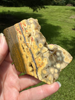 8th Vein Ocean Jasper Slab #79