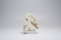 8th Vein Ocean Jasper Polished Free Form #26