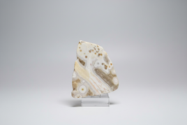 8th Vein Ocean Jasper Polished Free Form #26