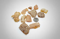Lot of Copal Specimens from Mexico