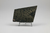 Free Form Pyrite Flowers Symbiosis Mixed Agate Slab #4