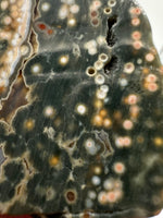 8th Vein Ocean Jasper Slab #11