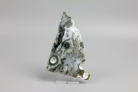 8th Vein Ocean Jasper Polished Free Form #22