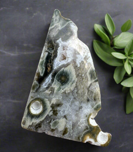 8th Vein Ocean Jasper Polished Free Form #22