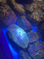 Madagascar Raw Amber One Pound Bag #1