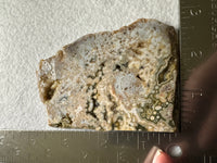 8th Vein Ocean Jasper Slab #131