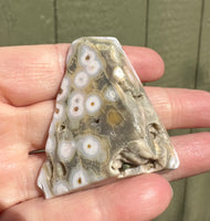 8th Vein Ocean Jasper Polished Free Form #14