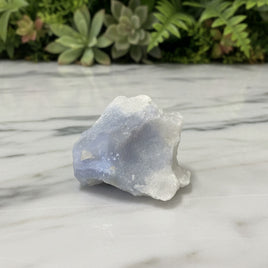 Blue Lace Agate Raw Specimen #14