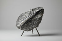 Orthoceras Fossil #12
