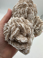 Selenite "Desert Rose," Samalayuka Desert, Chihuahua, Mexico #2