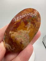 Money Agate Palm Stone #1