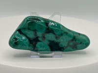 Polished Malachite Freeform, Zaire, Africa #6