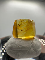 Fossil Insect Inclusion in Burmese Amber #9