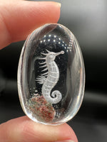 Beautiful Seahorse Garden Quartz Inner Scene Carving #1