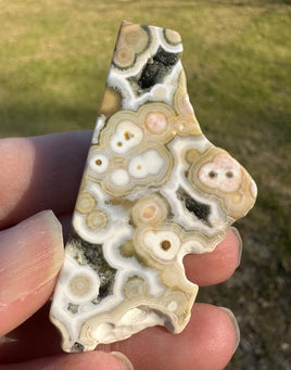 8th Vein Ocean Jasper Polished Free Form #19