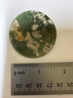 Moss Agate Polished Round Slice #28