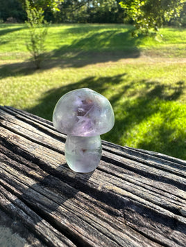 Colorful Fluorite Mushroom Carving #13