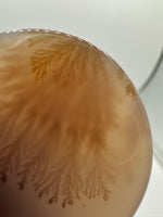 Designer Dendritic Agate Cabochon #5