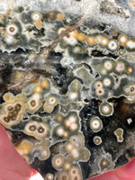 8th Vein Ocean Jasper Slab #3