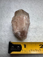 Natural Citrine Cathedral Crystal, Congo, Lightbrary #7