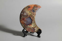 Money Agate Carved Moon #4
