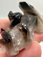Smoky Quartz, Irradiated, Collier Creek, Mt. Ida, Arkansas
