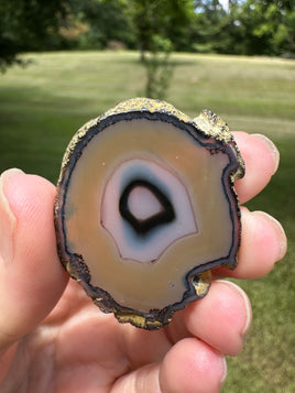 Agate Slice #33