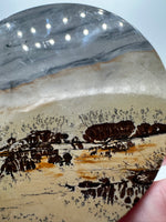 Natural Picture Jasper Slab with Stand #10